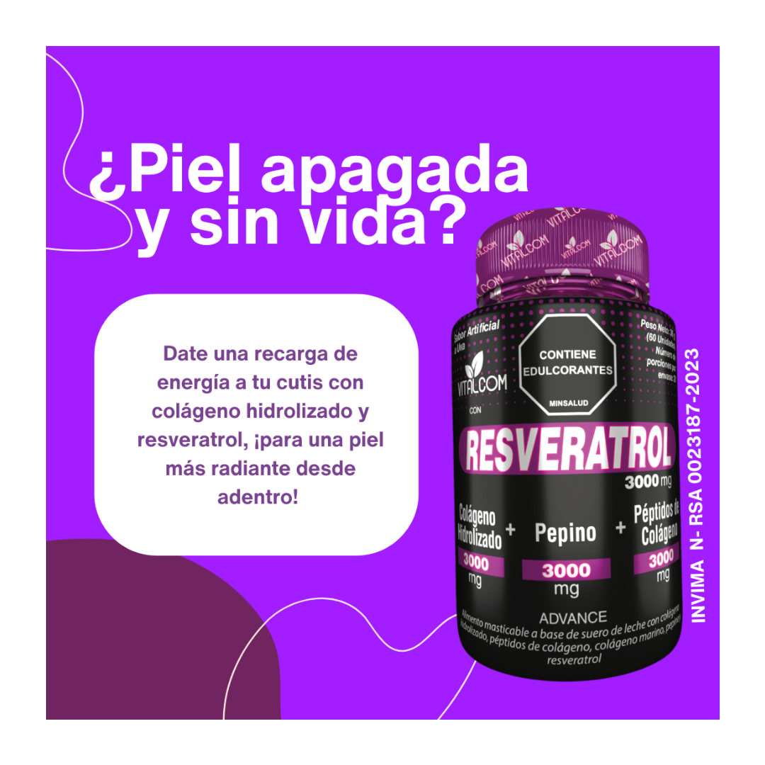 Encabezado